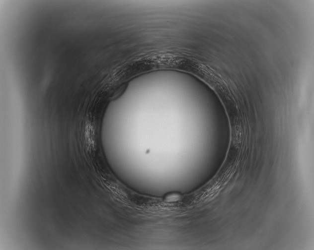X0000115431010200911121059