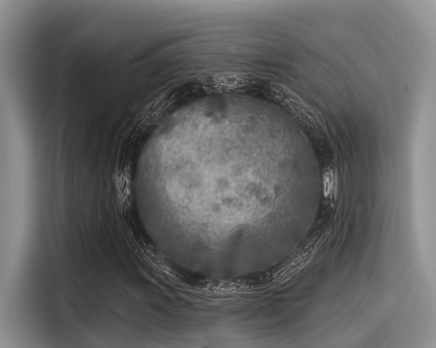 X0000115431011200911121059