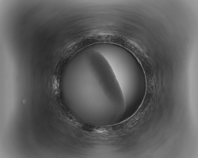 X0000115431013200911121059