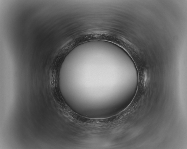 X0000115431014200911121059
