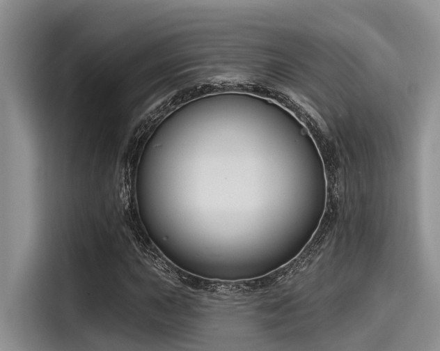 X0000115431015200911121059
