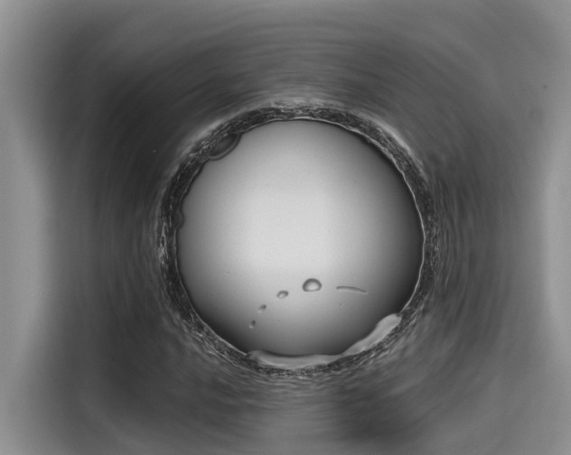 X0000115431016200911121059