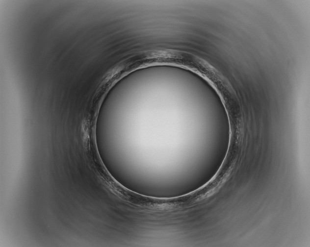 X0000115431017200911121059