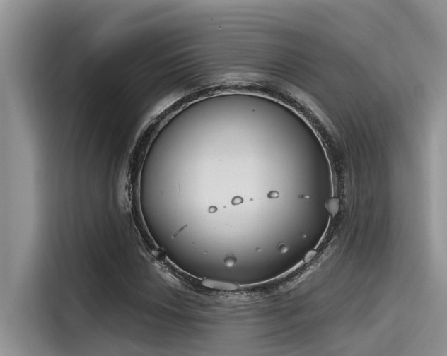 X0000115431018200911121059