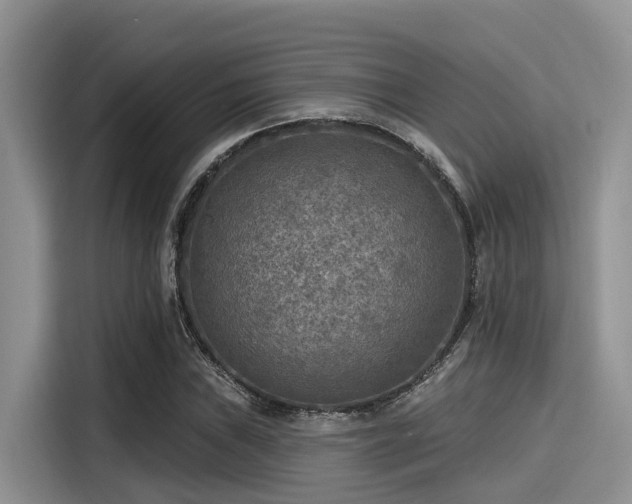 X0000115431019200911121059