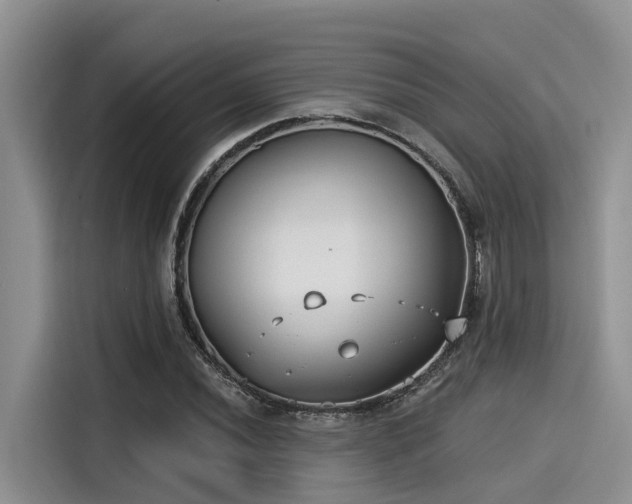 X0000115431020200911121059