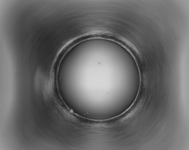 X0000115431021200911121059