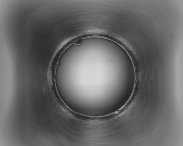 X0000115431022200911121059
