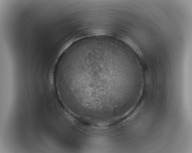 X0000115431023200911121059
