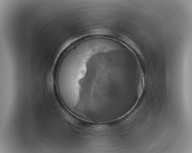 X0000115431024200911121059