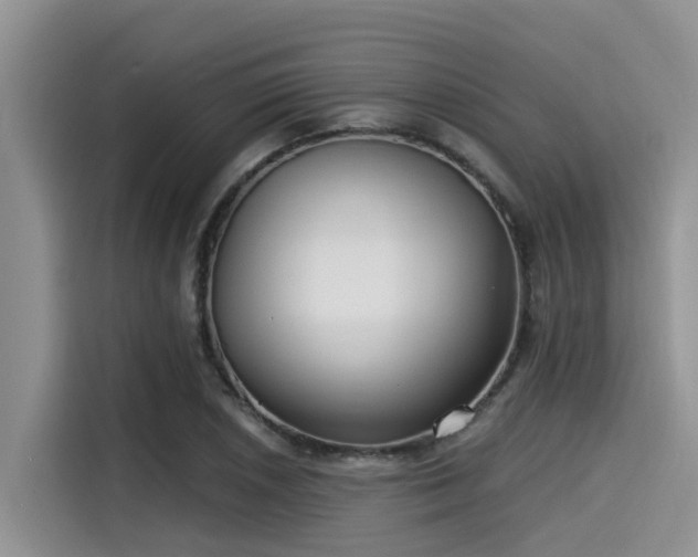 X0000115431026200911121059