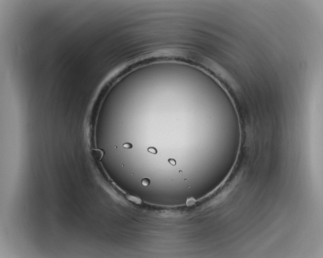 X0000115431029200911121059