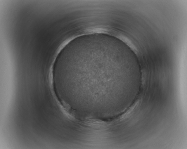 X0000115431031200911121059