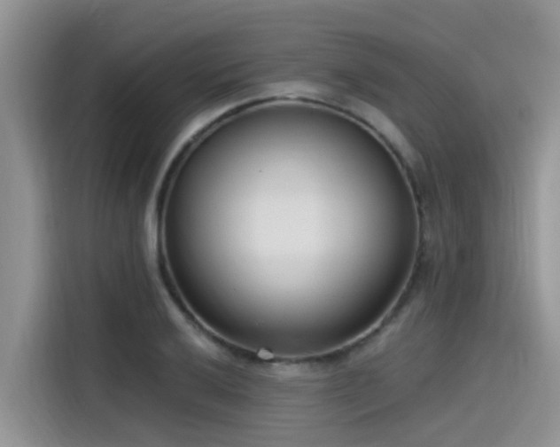 X0000115431032200911121059