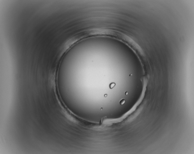 X0000115431033200911121059