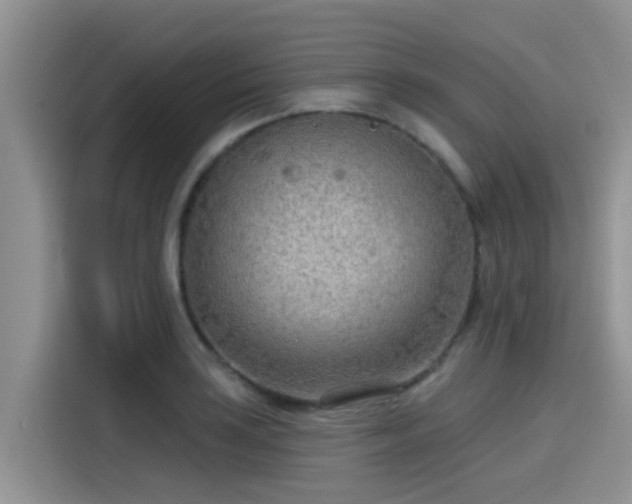 X0000115431035200911121059