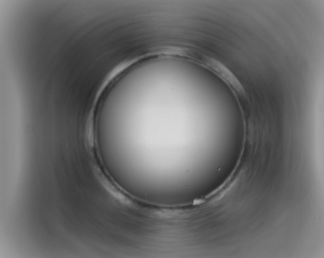 X0000115431036200911121059