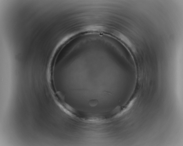 X0000115431037200911121059