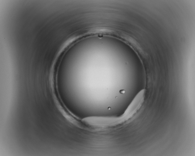 X0000115431038200911121059