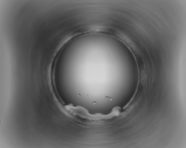 X0000115431039200911121059
