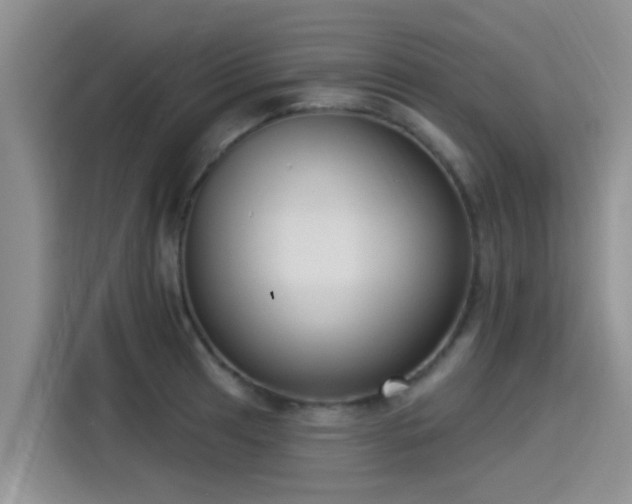 X0000115431041200911121059