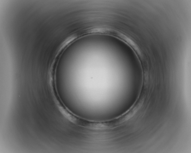 X0000115431042200911121059