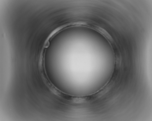 X0000115431044200911121059