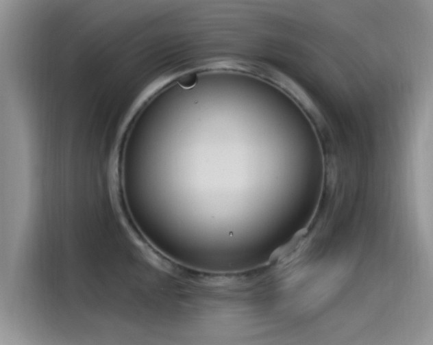 X0000115431048200911121059