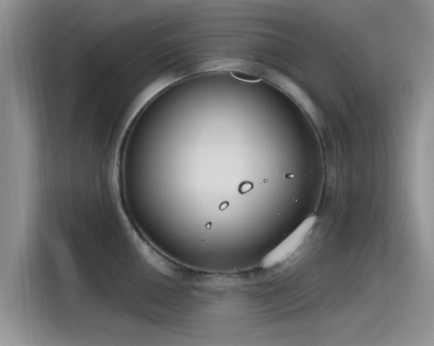 X0000115431050200911121059