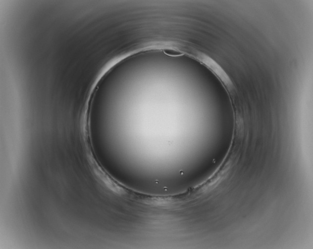 X0000115431052200911121059