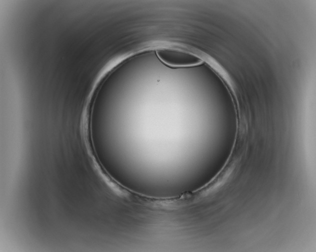 X0000115431053200911121059
