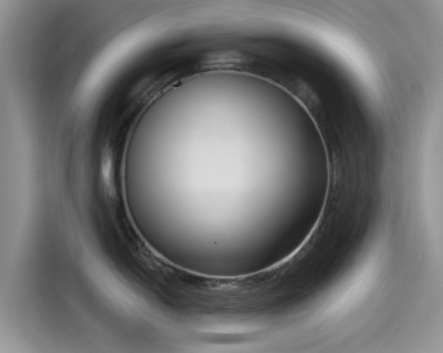 X0000115431054200911121059