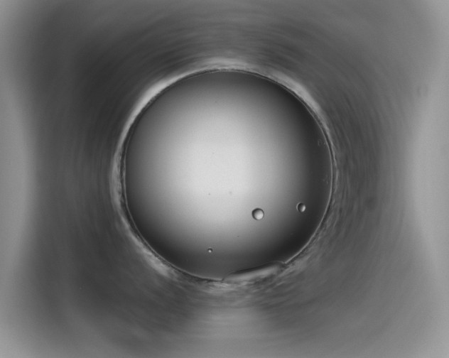 X0000115431056200911121059