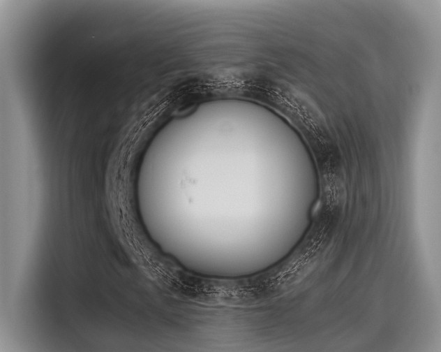 X0000115431057200911121059