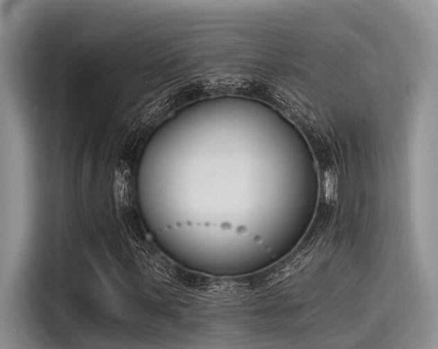 X0000115431059200911121059