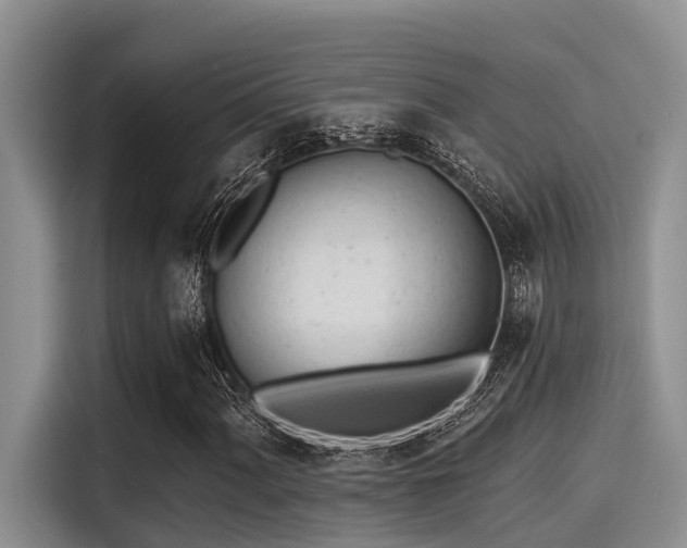 X0000115431060200911121059