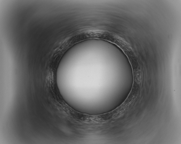 X0000115431061200911121059