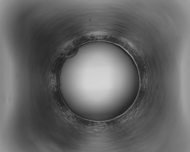 X0000115431062200911121059