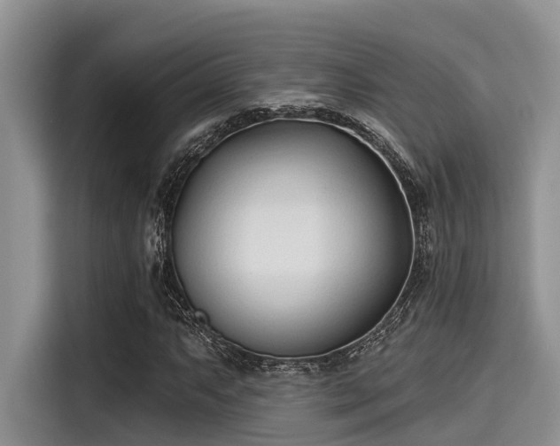 X0000115431063200911121058