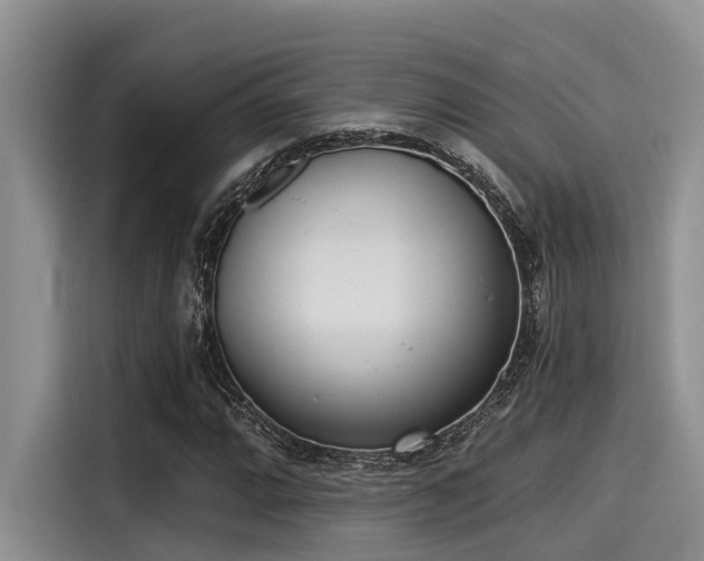 X0000115431064200911121058