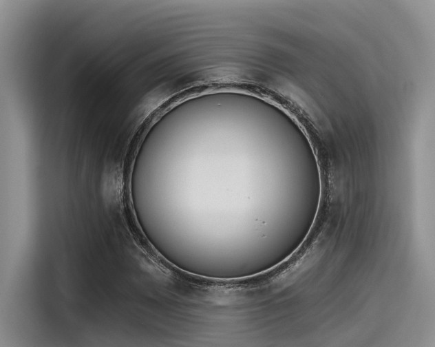 X0000115431065200911121058
