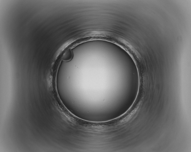 X0000115431066200911121058
