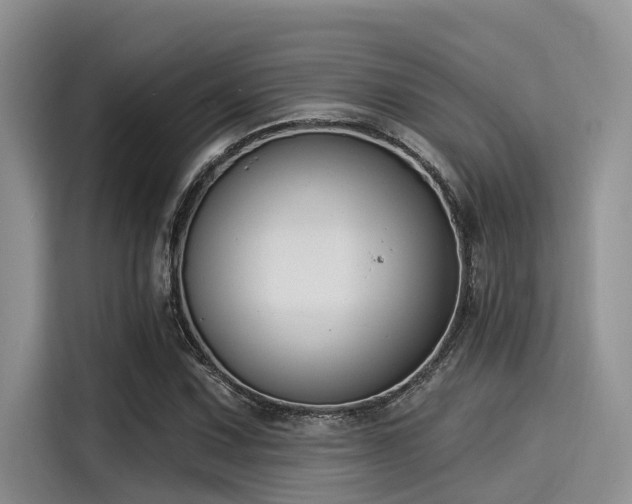 X0000115431067200911121058