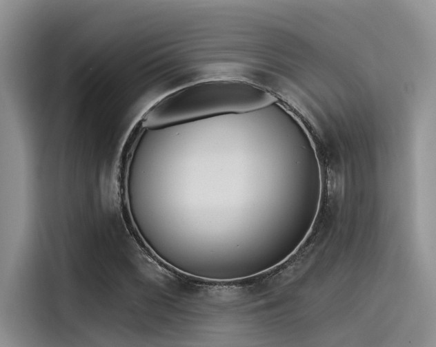 X0000115431068200911121058