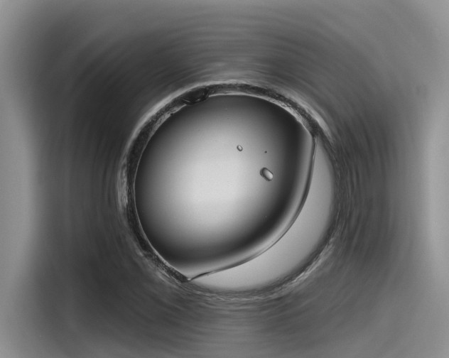 X0000115431069200911121058