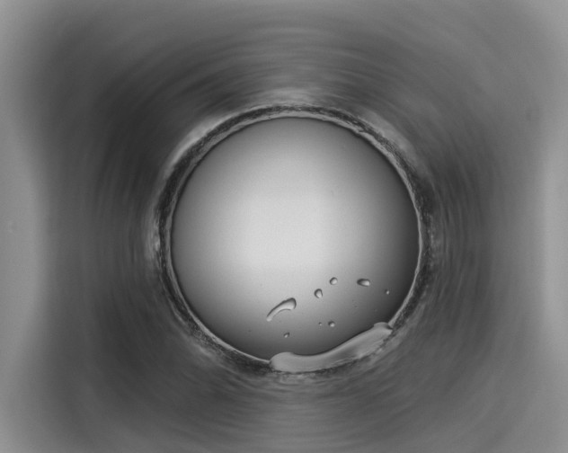 X0000115431070200911121058