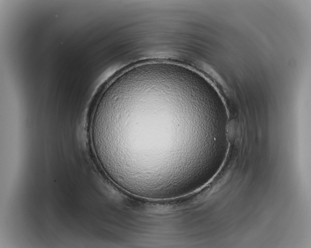 X0000115431071200911121058