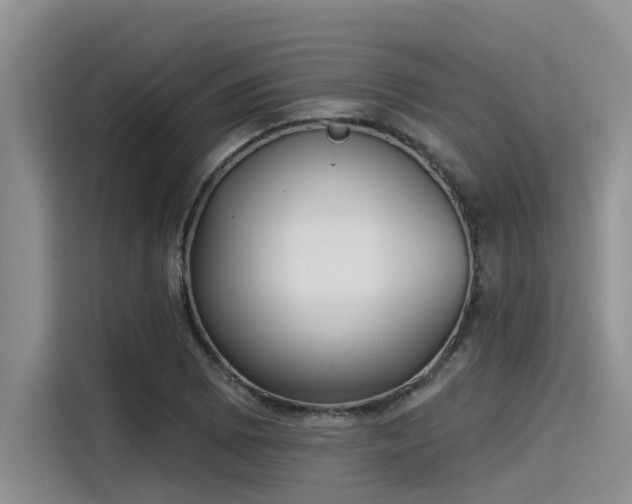 X0000115431073200911121058