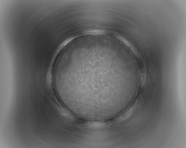 X0000115431074200911121058