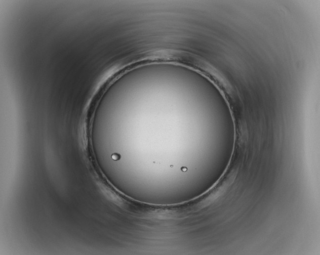 X0000115431075200911121058